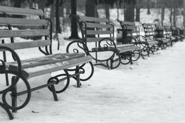 Bir dizi boyunca kış park sokakta sokak tezgahları. Sokakta kış park boyunca sokak tezgahları çapraz satırı. Siyah ve beyaz. Arka plan