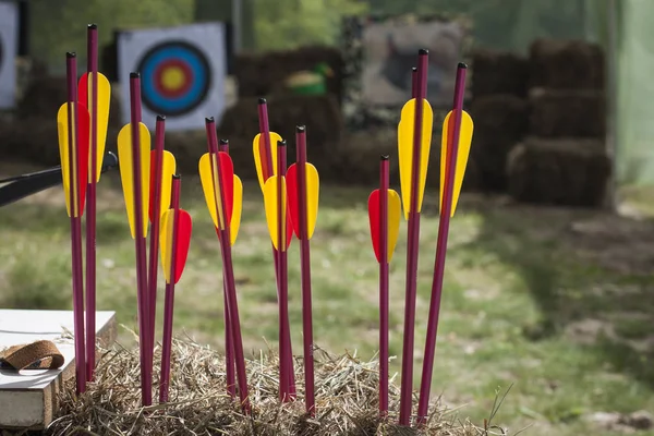 Flechas Colores Brillantes Pajar Contra Telón Fondo Objetivo Aire Libre —  Fotos de Stock