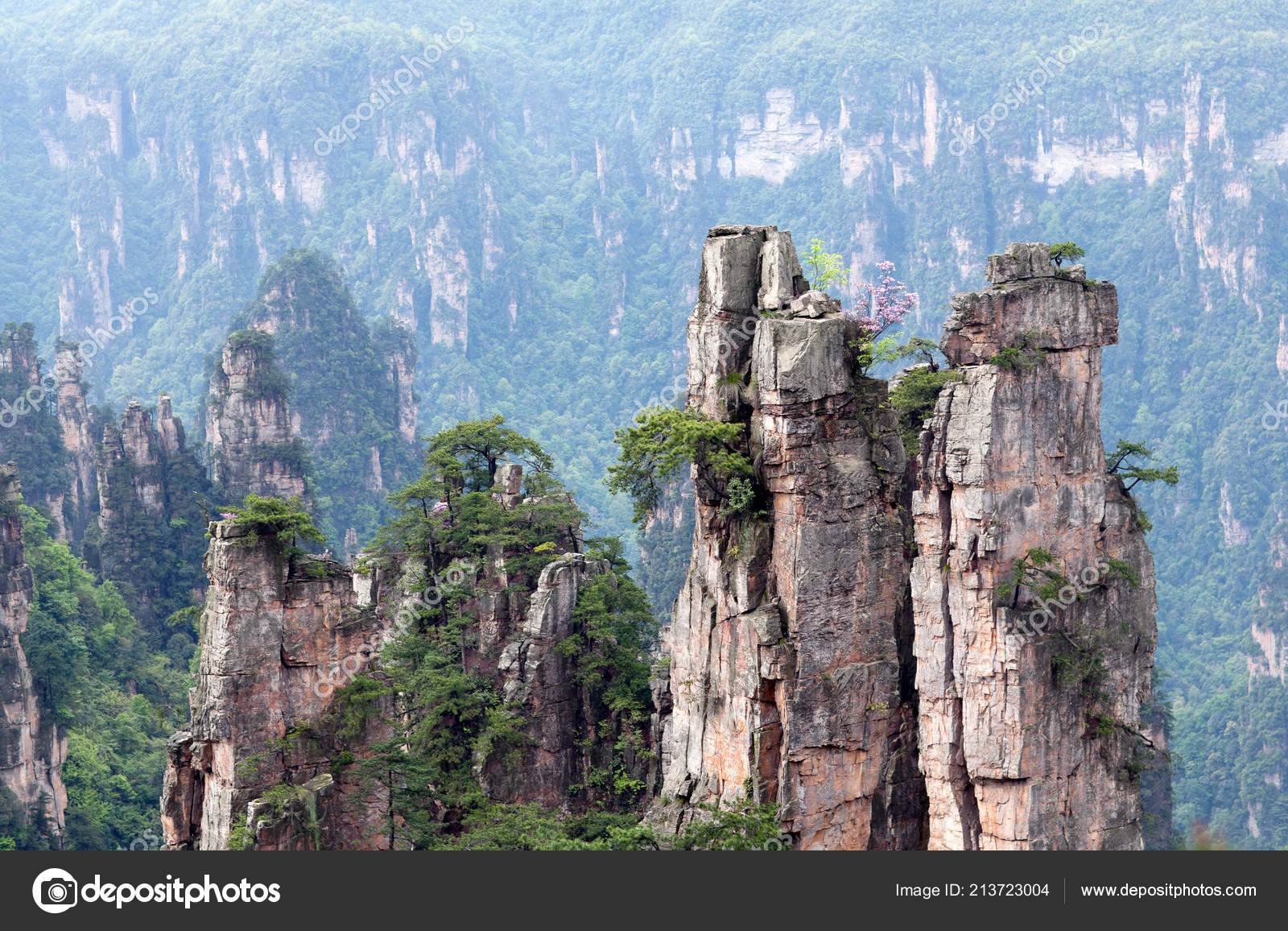 Zhangjiajie National Forest Park Avatar Mountains Hunan Province China Stock Photo Image By C Zzvet