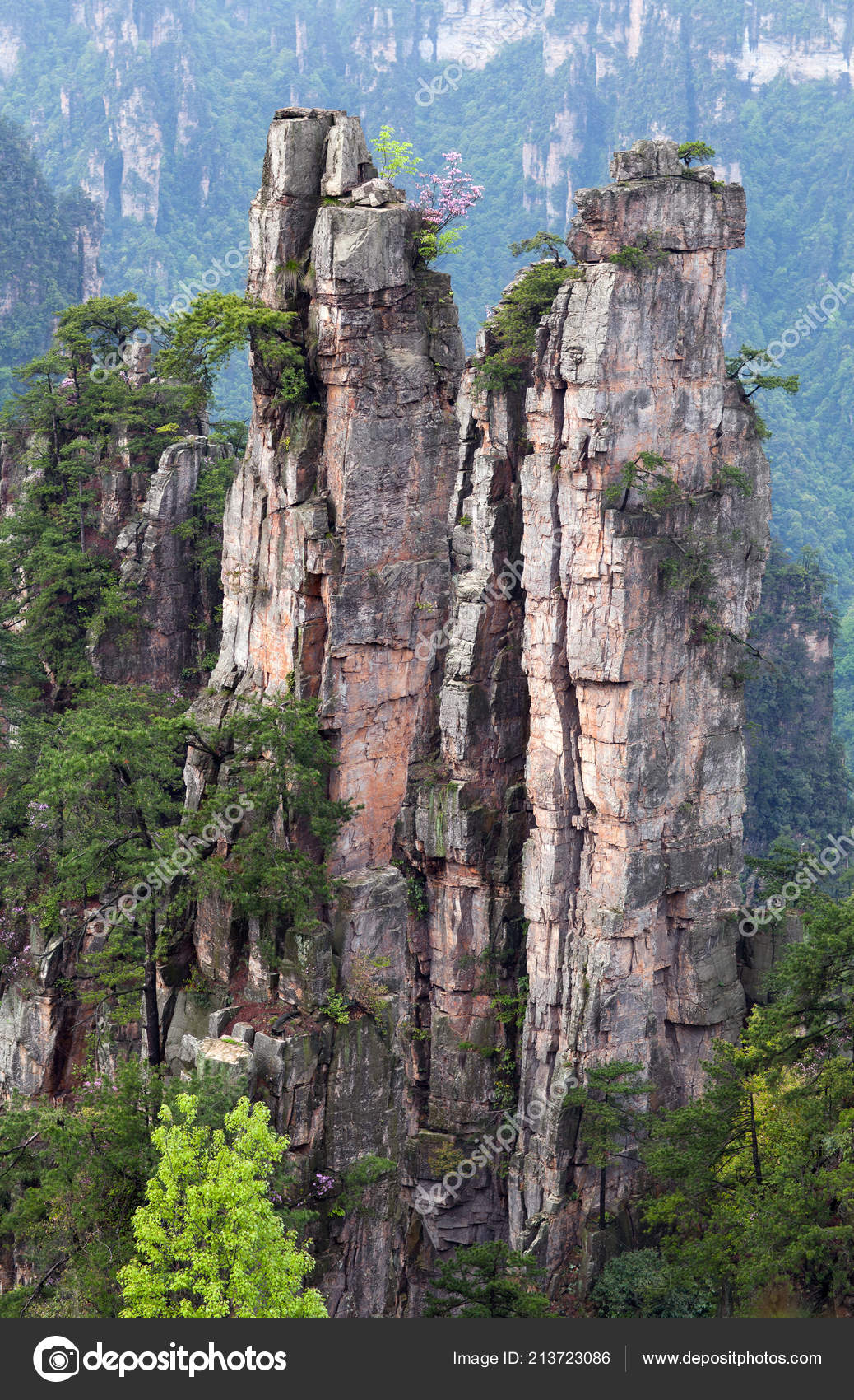 Zhangjiajie National Forest Park Avatar Mountains Hunan Province China Stock Photo Image By C Zzvet Zhangjiajie National Forest Park Avatar Mountains Hunan Province China Stock Photo Image By C Zzvet