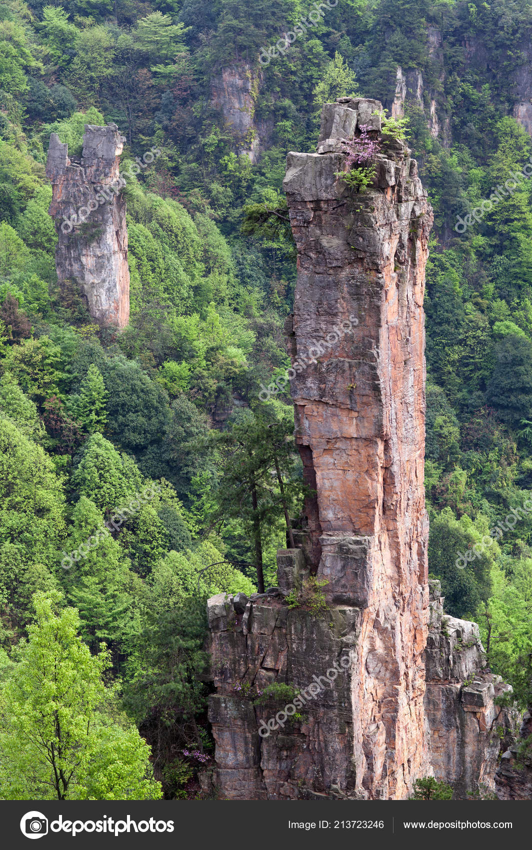 Zhangjiajie National Forest Park Avatar Floating Mountains Wulingyuan Scenic Area Stock Photo Image By C Zzvet Zhangjiajie National Forest Park Avatar Floating Mountains Wulingyuan Scenic Area Stock Photo Image By C Zzvet