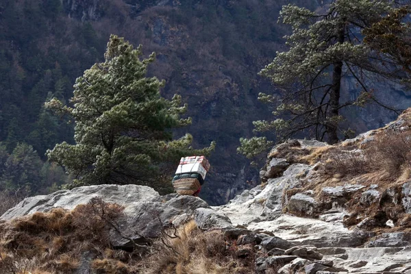 Nepalese porter carrying a heavy load to the pass in Sagarmatha National Park, Himalayas — Stock Image Nepalese Porter Carrying Heavy Load Pass Sagarmatha National Park Himalayas Stock Picture