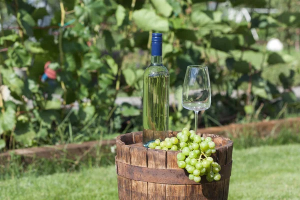 Vino Blanco Sobre Barrica Vintage Madera Con Plantación Uva Sobre — Foto de Stock