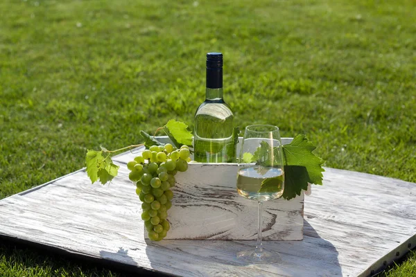 Vino Blanco Sobre Mesa Vintage Blanca Madera Con Césped Verde — Foto de Stock