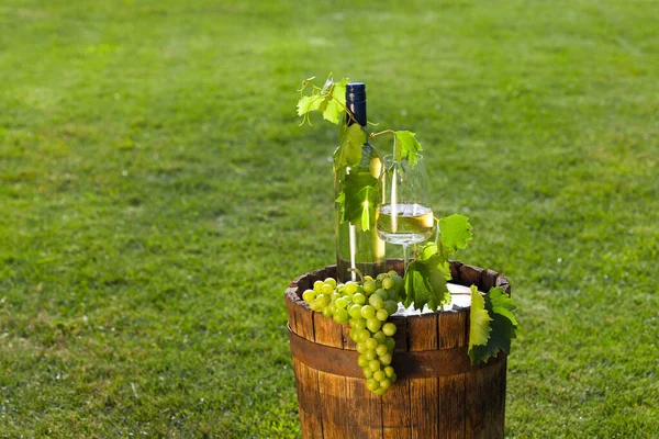 背景为绿色草坪的木制复古桶中的白葡萄酒 — 图库照片