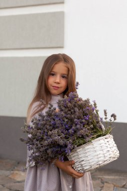 Gri elbiseli sevimli çocuk yeşil bahçede kolları lavanta dolu.