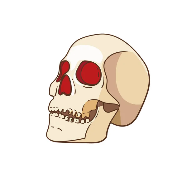 Crâne Vecteur Isolé Sur Fond Blanc — Image vectorielle