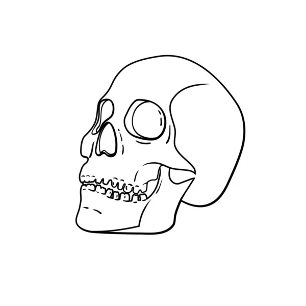 Vector Black White Skull Isolated Background Royalty Free Stock Illustrations