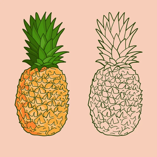 Vereinzelte Ananas Grafisch Stilisierte Zeichnung Vektorillustration Vektorgrafiken