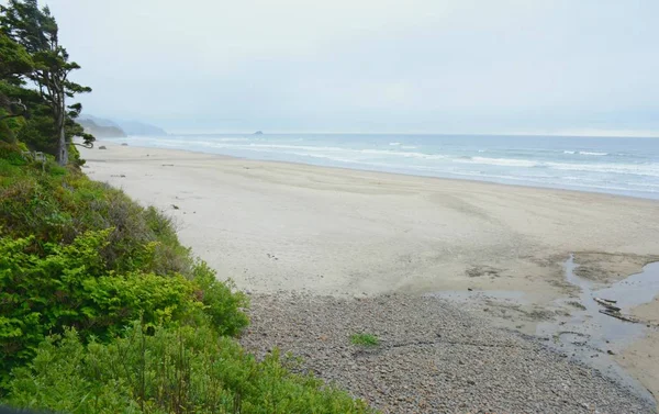 風光明媚なオレゴン州の北海岸に沿って 干潮時にアルカディア ビーチ州立レクリエーション サイトに曇り春見落とし — ストック写真