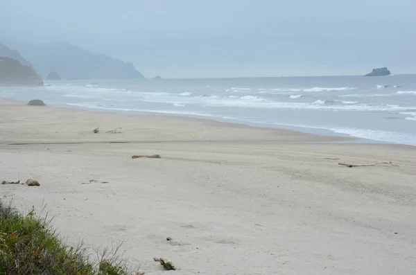 Overcast Seascape Low Tide Arcadia Beach State Recreation Site Scenic — Stock Photo, Image