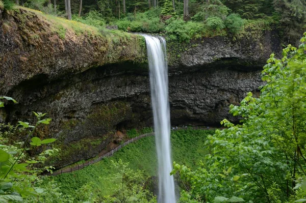 Uma Tranquila Vista Primavera Pitoresca Unidade Cachoeiras Sul Silver Falls — Fotografia de Stock