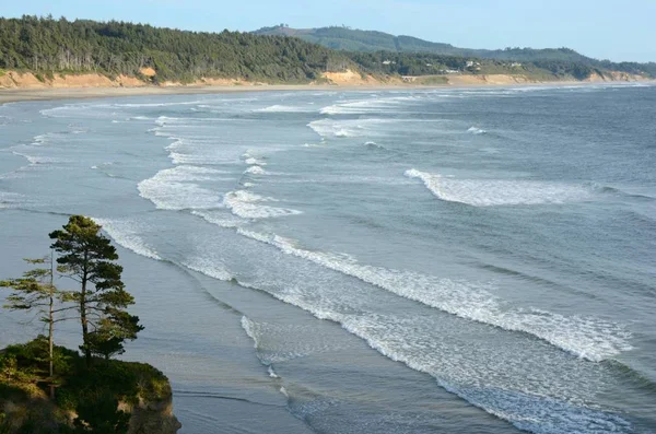 Panoramic Overlook North Pacific Ocean Shore Devil Punch Bowl State — Stock Photo, Image