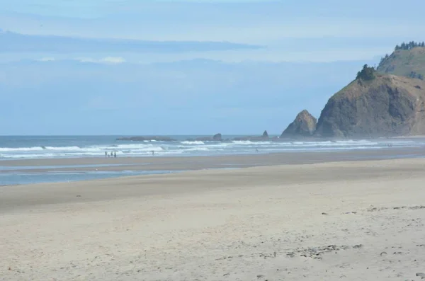 ญในเช าฤด ใบไม บได ชายหาดถนน End State Park บนชายฝ งกลางโอเรกอนท — ภาพถ่ายสต็อก