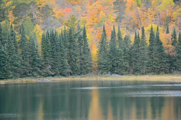 Пиковые Осенние Цвета Листвы Отражаются Живописном Озере Джозефина Парке Штата — стоковое фото