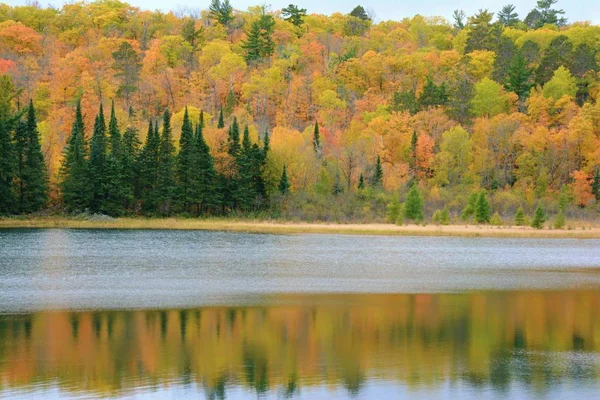 Displaying Peak Autumn Foliage Colors Reflected Pristine Josephine Lake Itasca — Stock Photo, Image