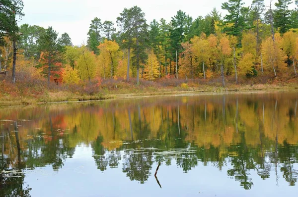 Vibrant Peak Autumn Foliage Colors Reflected Pristine Lake Scenic Itasca — Stock Photo, Image