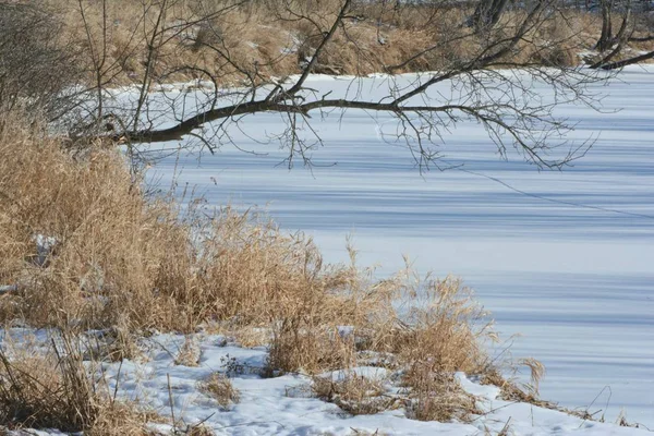 Tranquil Perspectiva Invernal Largo Del Pintoresco Río Rum Centro Minnesota — Foto de Stock