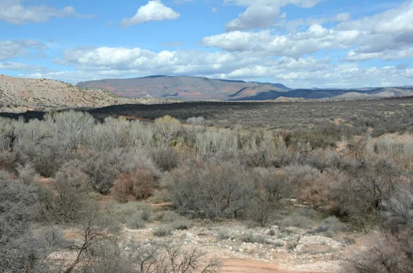 Winterpanorama Des Malerischen Grünen Flusstals Nördlichen Arizona — Stockfoto