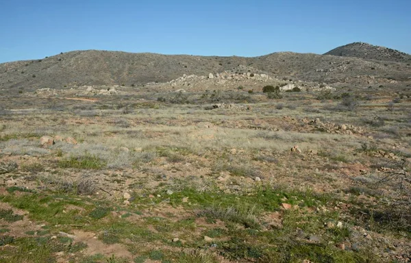 Seasonal Vista Agua Fria National Monument Northern Border Sonoran Desert — Stock Photo, Image