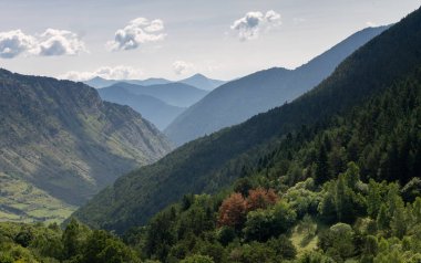 Yamaçlar ve uzak ufuk Peaks'e boyunca çeşitli ağaçlar bir dağ Vadisi.