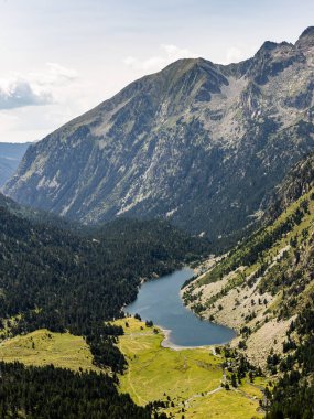 Bir göl dağların ortasında hillside içinde yoğun bir orman çevrilidir.