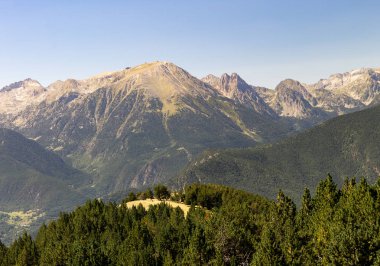 Sarı renkli hill bitki örtüsü dağ içinde belgili tanımlık geçmiş ile ortasında oturur.