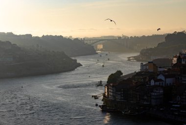 Geç öğleden sonra görünümüyle Porto, Douro nehrinin tarafından uçan martılar.