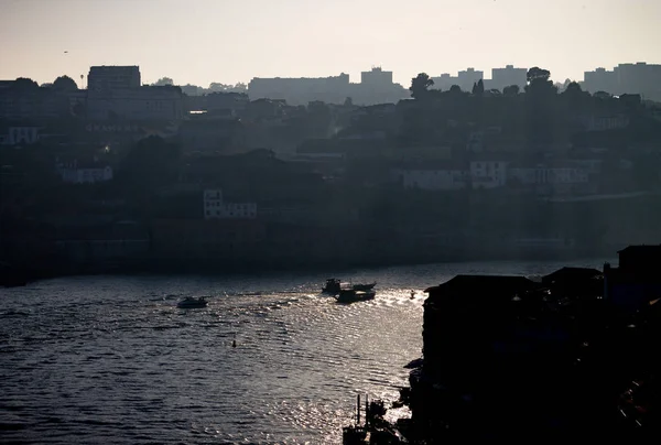 Various boats cruise along the Douro RIver in the late afternoon.