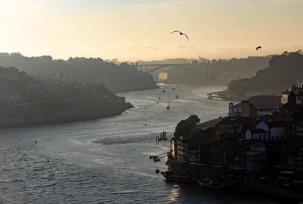 Una Vista Nel Tardo Pomeriggio Del Fiume Douro Porto Con — Foto Stock