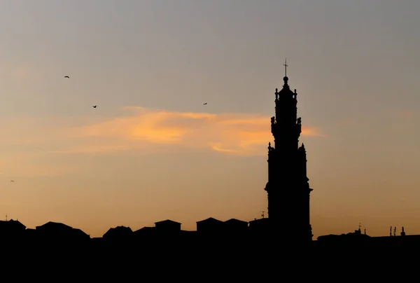 Eine Silhouette Des Clerigos Turms Porto Mit Verschiedenen Möwen Die — Stockfoto