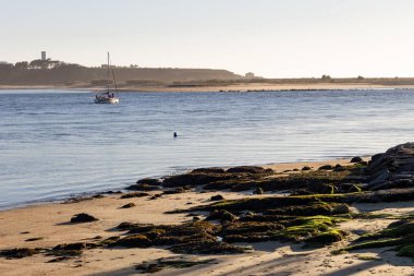 Ön planda biraz yosun kaplı taş ile Douro Nehri üzerindeki uzak bir yelkenli yelken.
