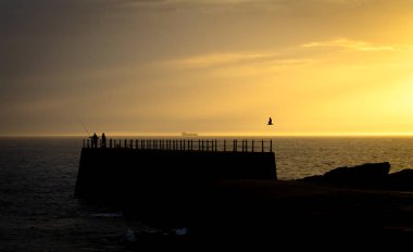 İki balıkçılar tarafından uçan martı batımında, kontrast iskelede stand.