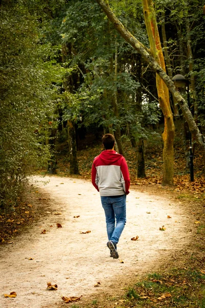 Vista Posteriore Uomo Che Cammina Solo Parco — Foto Stock