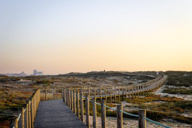 Boardwalk bitki örtüsü ortasında uzak şehre yol açar. Uzay kopyalayın. Açık gün. Ilık ışık.