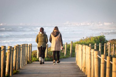 İki kadın bir mavi gökyüzü arka plan karşı kıyı şeridi, ahşap tahta boyunca yürüyüş dikiz. Uzak cityscape. Kadın köpek tasması tutar.