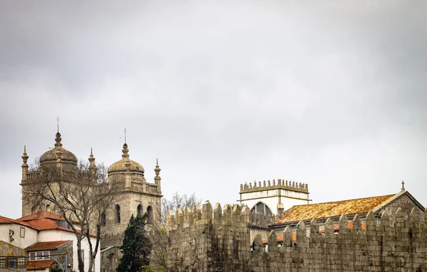 Porto Kathedraal Omliggende Gebieden Een Bewolkte Ochtend Kopiëren Van Ruimte — Stockfoto