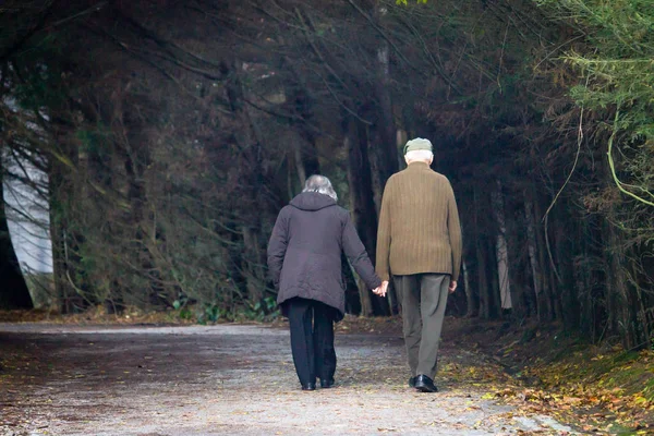 Vista Posteriore Una Coppia Anziana Che Cammina Nel Parco Verde — Foto Stock