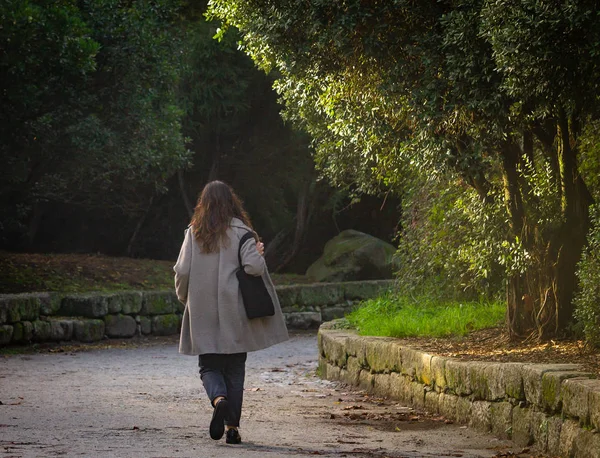 Vista Posteriore Una Donna Che Cammina Nel Parco Con Una — Foto Stock