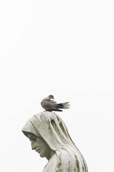 A pigeon on the head of a statue