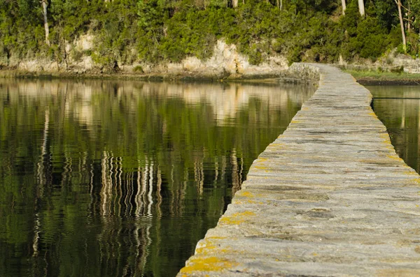 木製の桟橋の緑を背景に湖の風光明媚なビュー — ストック写真