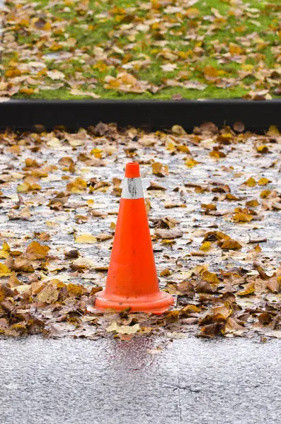 Oranžové Varovný Kužel Žluté Foliaged Dlažba — Stock fotografie