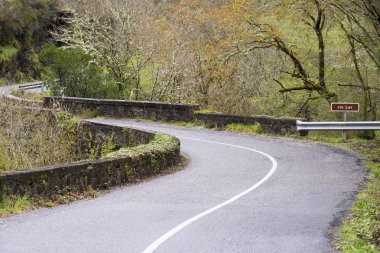yeşillik içinde dolambaçlı yol doğal görünümünü
