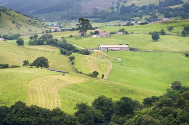 vadi yeşil çimenler ile yükseltilmiş görünümünü