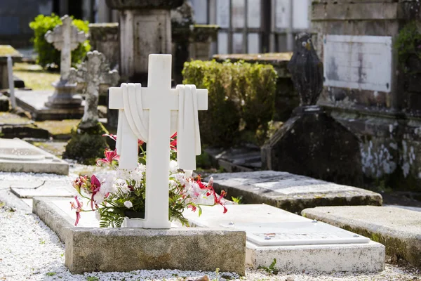 Vue Cimetière Avec Croix Chrétiennes Blanches — Photo