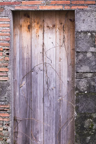 Wooden Shed Door Front View — Stock Photo, Image