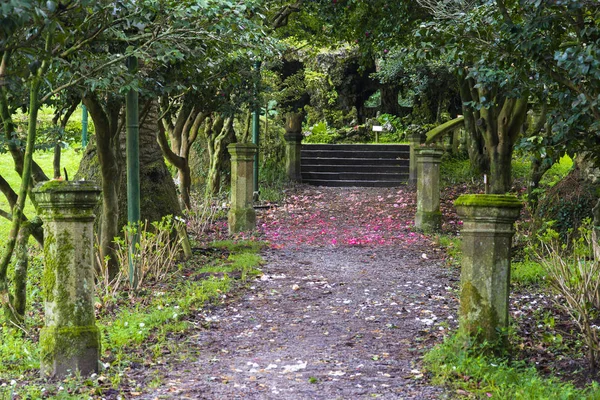 Viejo Sendero Del Parque Con Pilares Musgosos Exuberante Vegetación —  Fotos de Stock