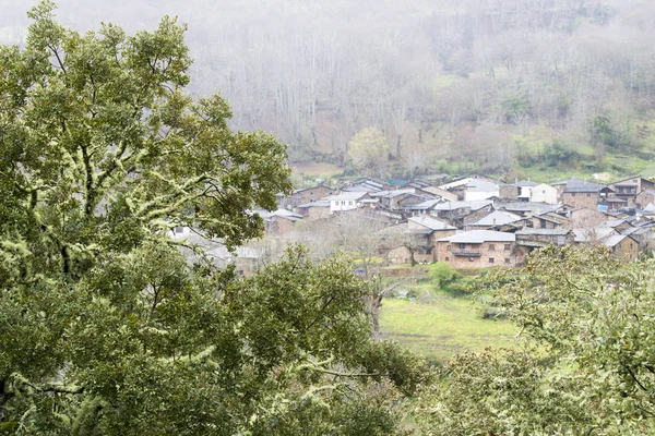 Edificios Residenciales Del Pueblo Árbol Verde Primer Plano — Foto de Stock