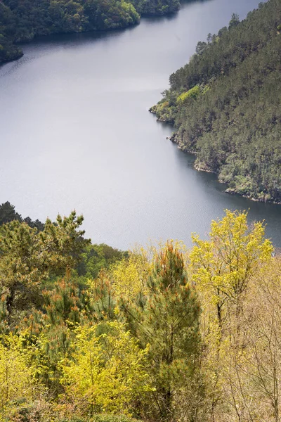 Vue Panoramique Sur Les Collines Avec Des Arbres Verts Rivière — Photo