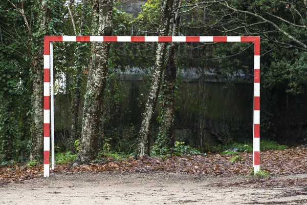 Voetbal Goal Bos Scène Met Lake — Stockfoto